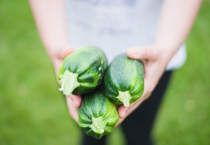 Poklad jménem CUKETA